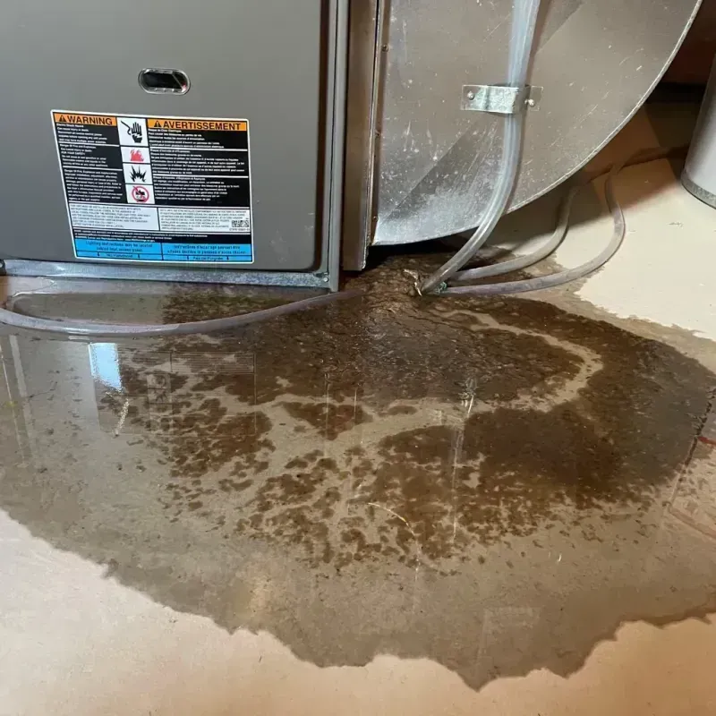 Appliance Leak Cleanup in Dover, DE